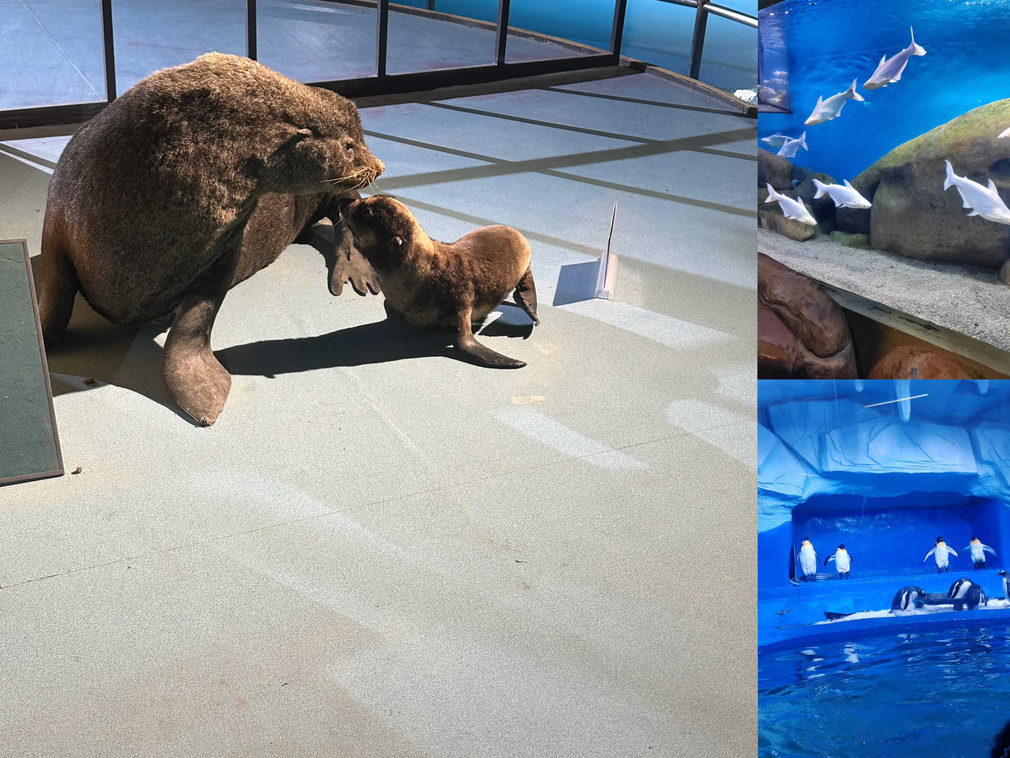 AG8�콢����(�й�)������ҳ