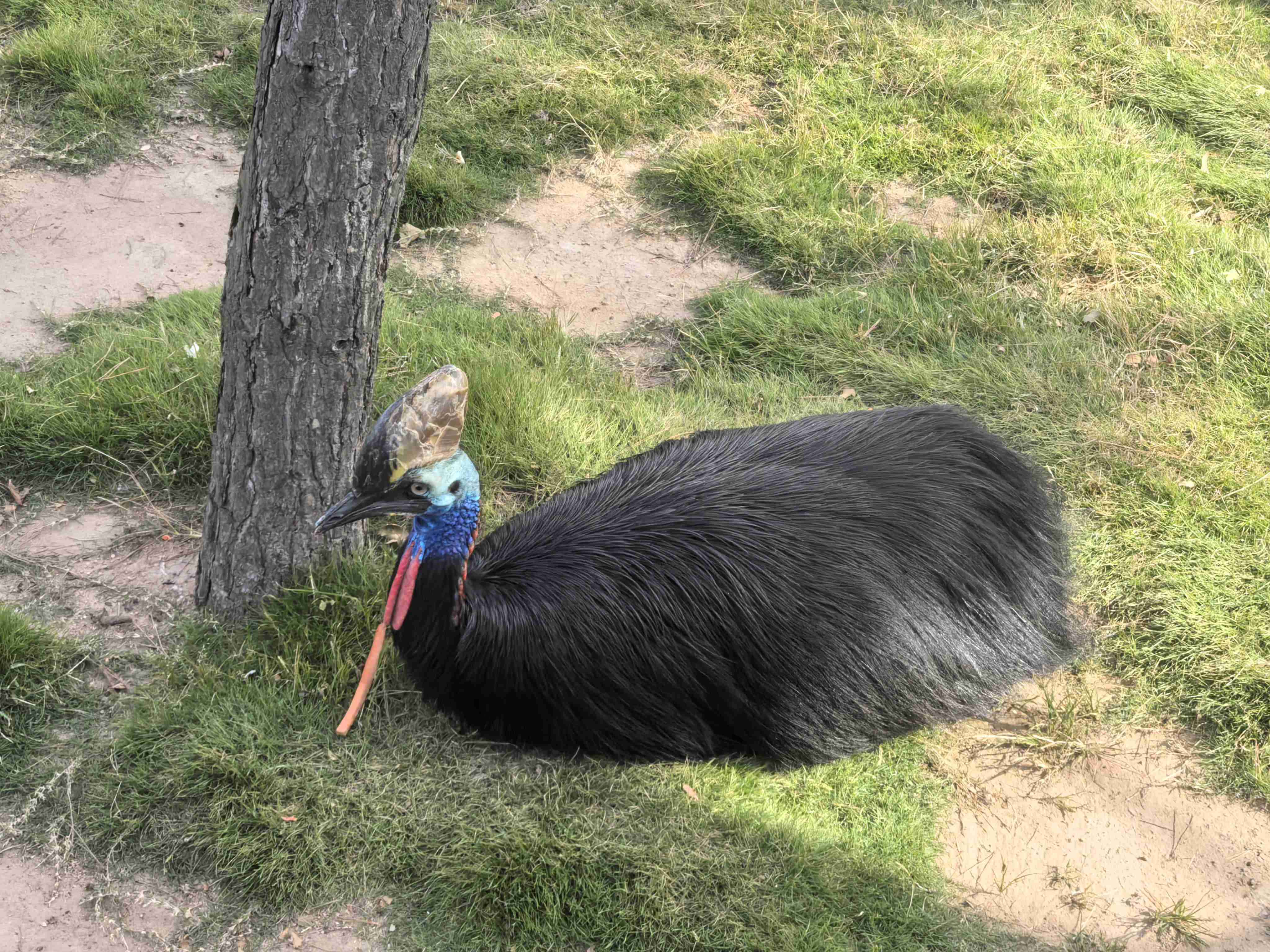 AG8�콢����(�й�)������ҳ